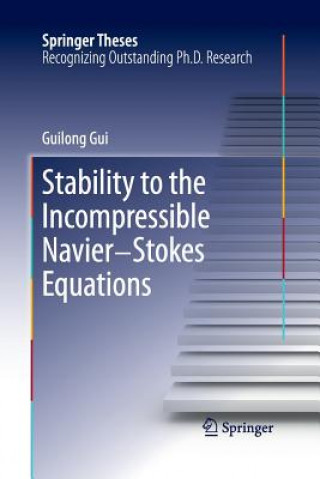 Könyv Stability to the Incompressible Navier-Stokes Equations Guilong Gui