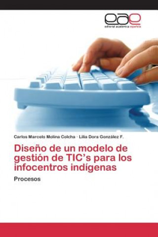 Knjiga Diseno de un modelo de gestion de TIC's para los infocentros indigenas Gonzalez F Lilia Dora