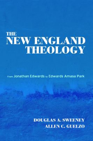Книга New England Theology Allen C (Gettysburg College) Guelzo