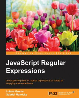 Kniha JavaScript Regular Expressions Gabriel Manricks