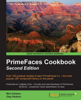 Book PrimeFaces Cookbook - Oleg Varaksin