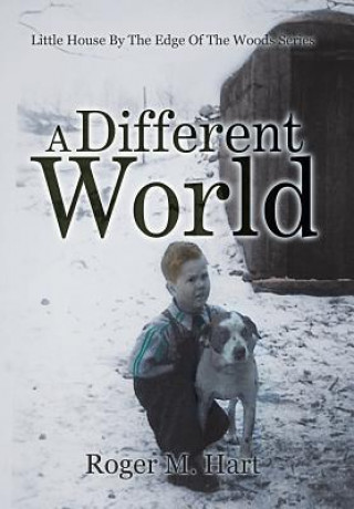 Buch Different World Roger M Hart