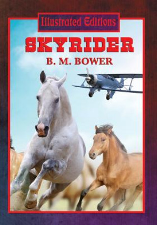 Книга Skyrider B M Bower