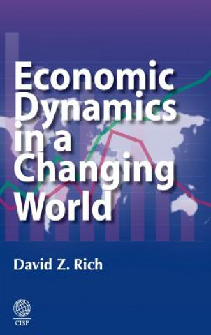 Kniha Economic Dynamics in a Changing World David Rich