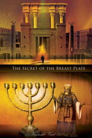 Книга Secret of the Breast Plate Vashist Vaid