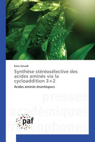 Książka Synthese Stereoselective Des Acides Amines Via La Cycloaddition 3+2 Aouadi Kaiss