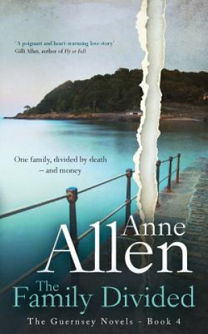 Kniha Family Divided Anne Allen