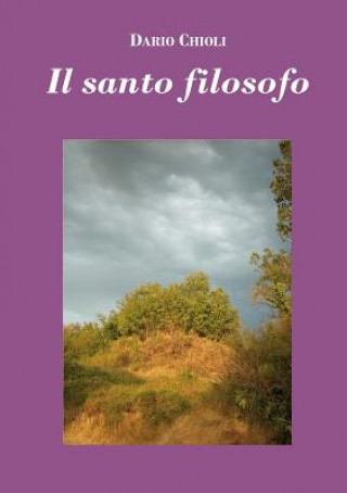 Buch Santo Filosofo (Edizione Economica) Dario Chioli