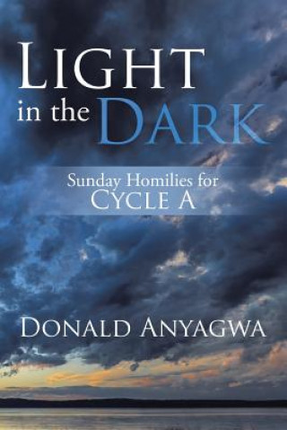 Knjiga Light in the Dark Donald Anyagwa