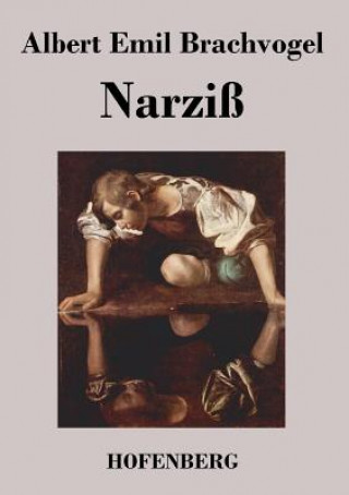 Book Narziss Albert Emil Brachvogel