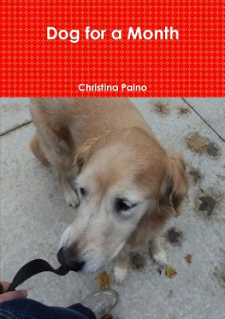 Книга Dog for a Month Christina Paino