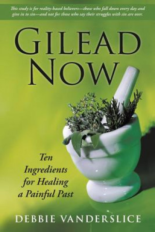 Boek Gilead Now Debbie Vanderslice