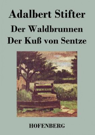 Książka Waldbrunnen / Der Kuss von Sentze Adalbert Stifter