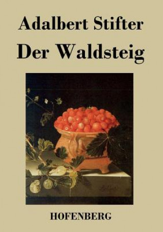 Könyv Waldsteig Adalbert Stifter