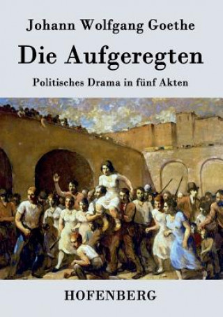 Buch Aufgeregten Johann Wolfgang Goethe