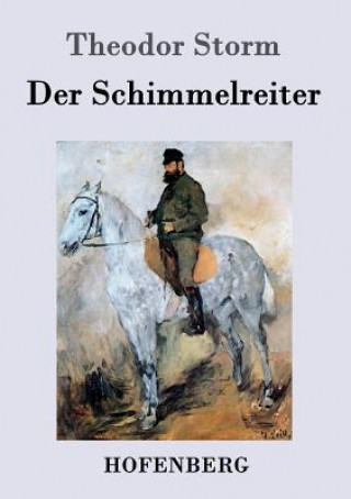 Książka Schimmelreiter Theodor Storm