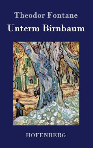 Książka Unterm Birnbaum Theodor Fontane