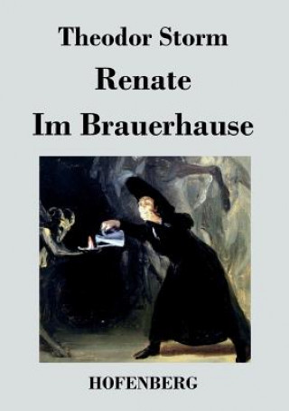 Knjiga Renate / Im Brauerhause Theodor Storm