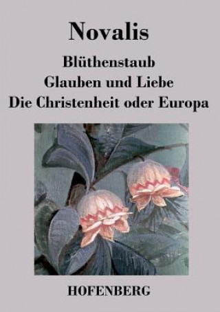 Könyv Bluthenstaub / Glauben und Liebe / Die Christenheit oder Europa Novalis