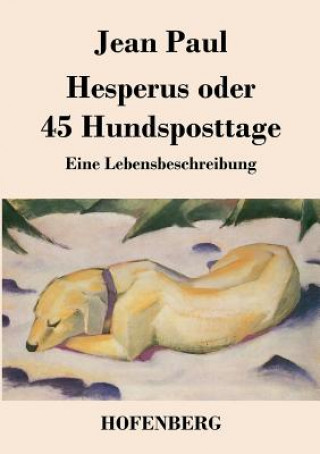 Kniha Hesperus oder 45 Hundsposttage Jean Paul