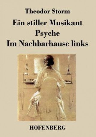 Kniha stiller Musikant / Psyche / Im Nachbarhause links Theodor Storm