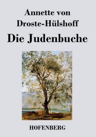 Kniha Judenbuche Annette von Droste-Hülshoff
