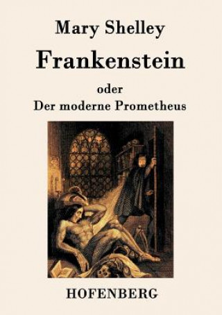 Carte Frankenstein oder Der moderne Prometheus Mary Shelley
