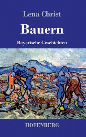 Buch Bauern Lena Christ