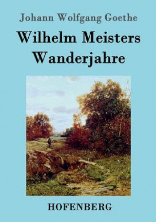 Book Wilhelm Meisters Wanderjahre Johann Wolfgang Goethe