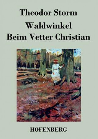 Książka Waldwinkel / Beim Vetter Christian Theodor Storm