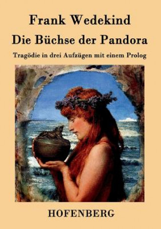 Kniha Buchse der Pandora Frank Wedekind