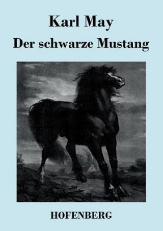 Książka schwarze Mustang Karl May