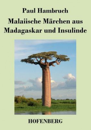 Könyv Malaiische Marchen aus Madagaskar und Insulinde Paul Hambruch