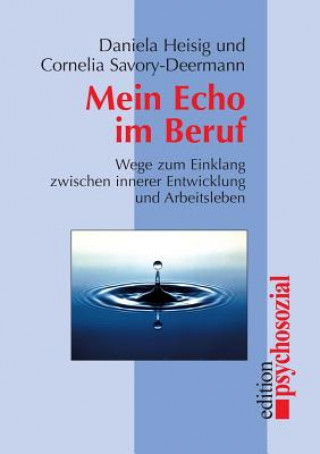 Book Mein Echo im Beruf Daniela Heisig