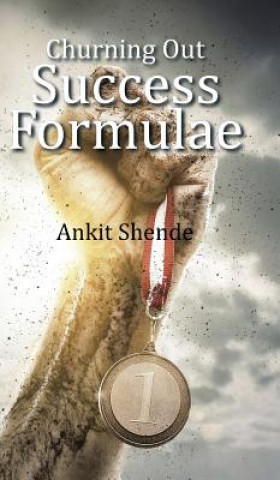 Buch Churning Out Success Formulae Ankit Shende