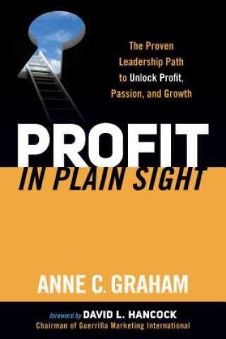 Kniha Profit in Plain Sight Anne C Graham