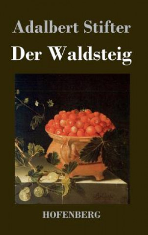 Kniha Der Waldsteig Adalbert Stifter