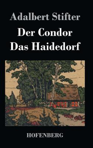 Kniha Condor / Das Haidedorf Adalbert Stifter