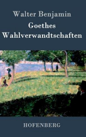 Knjiga Goethes Wahlverwandtschaften Consultant Statistician Walter (Columbia University) Benjamin