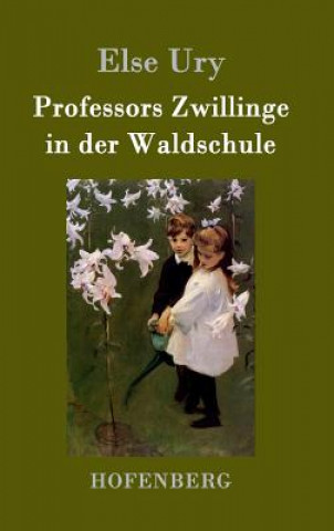 Książka Professors Zwillinge in der Waldschule Else Ury