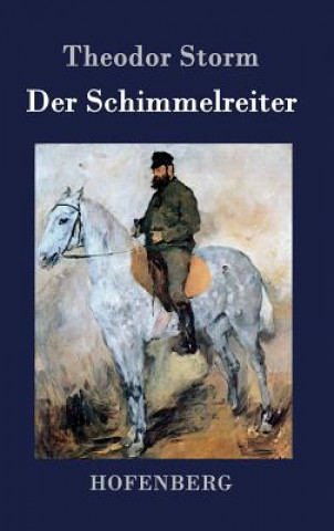 Kniha Der Schimmelreiter Theodor Storm