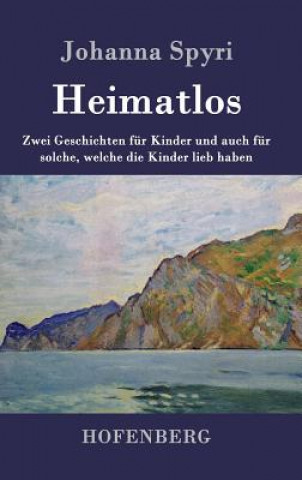 Buch Heimatlos Johanna Spyri