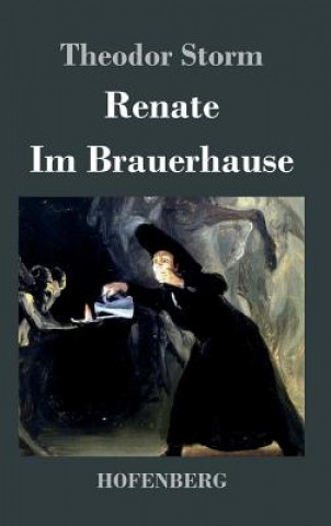 Kniha Renate / Im Brauerhause Theodor Storm