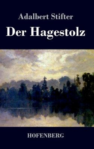 Kniha Hagestolz Adalbert Stifter