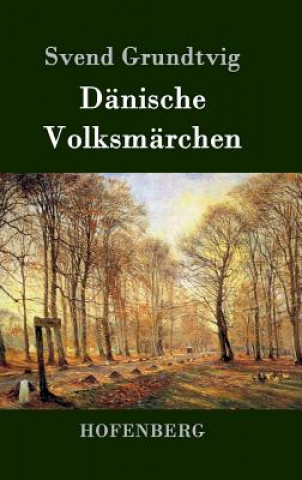 Kniha Danische Volksmarchen Svend Grundtvig