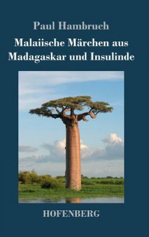 Buch Malaiische Marchen aus Madagaskar und Insulinde Paul Hambruch