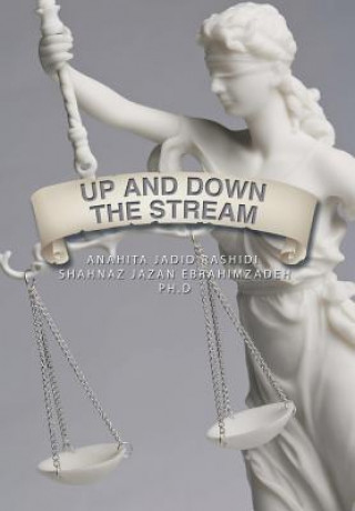 Boek Up and Down the Stream Anahita Rashidi