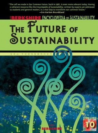 Kniha Berkshire Encyclopedia of Sustainability: The Future of Sustainability Ray C. Anderson