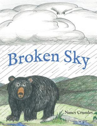 Kniha Broken Sky Nancy Crumley