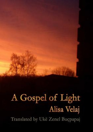 Könyv Gospel of Light Alisa Velaj